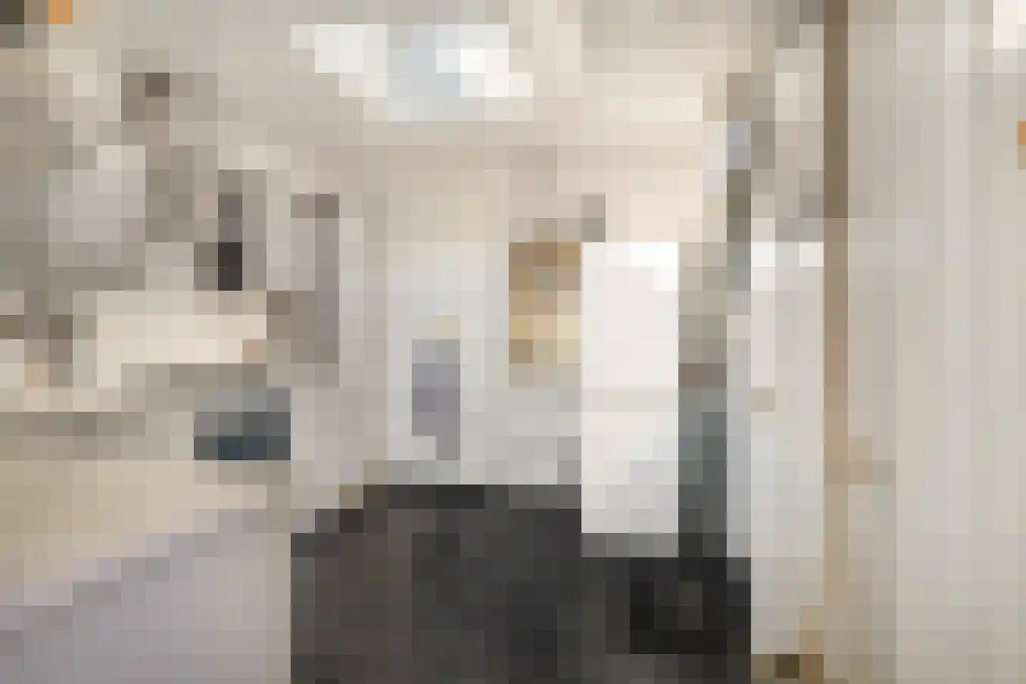 Merwedestraat 5 Velp thumbnail 8