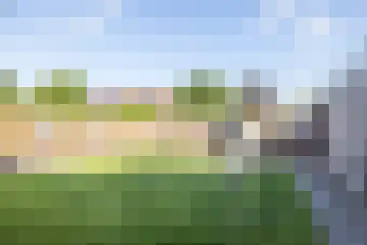 Merwedestraat 50 Stein thumbnail 36