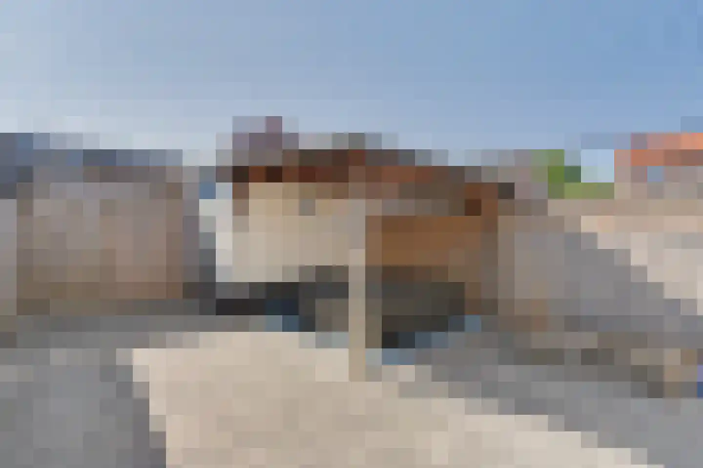 Merwedestraat 53 Maasdam thumbnail 23
