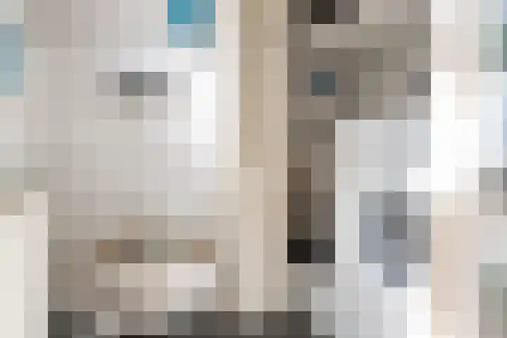 Merwedestraat 59 Utrecht thumbnail 13