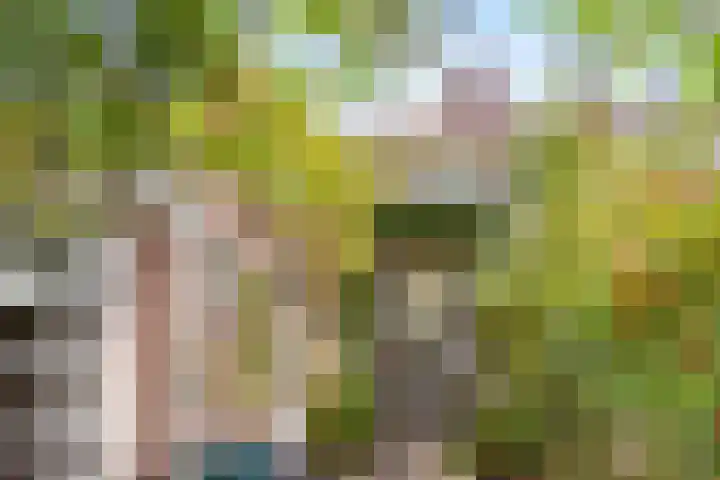 Merwedestraat 59 Utrecht thumbnail 4
