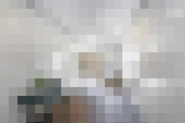 Merwedestraat 63 Schiedam thumbnail 7