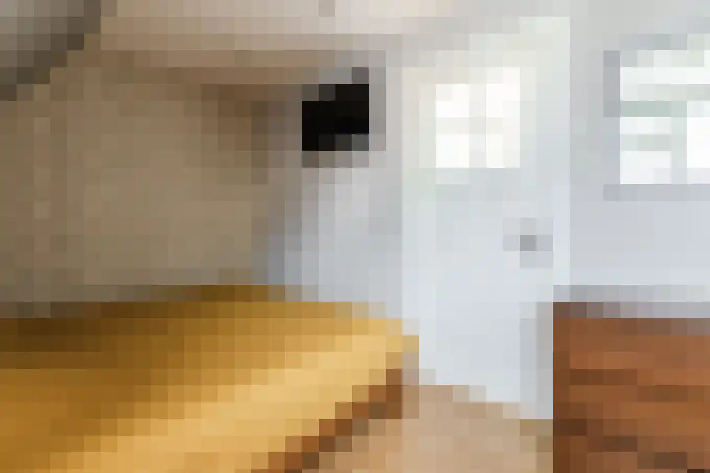 Merwedestraat 7 Velp thumbnail 23