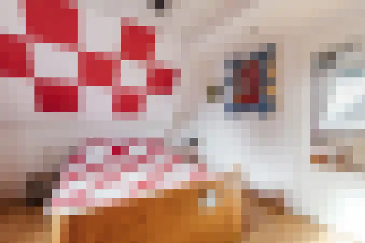 Merwedestraat 7 Velp thumbnail 37