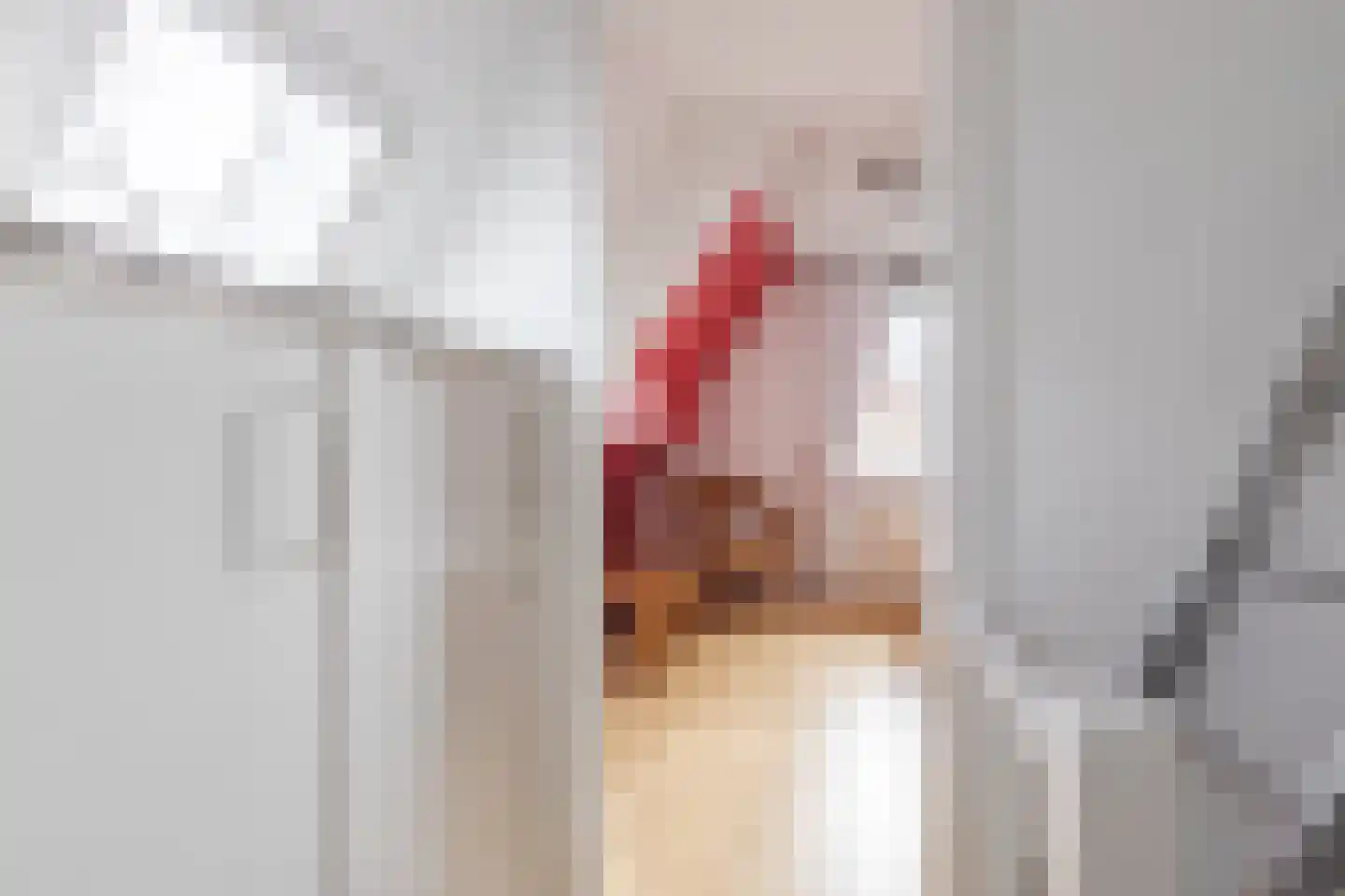 Merwedestraat 7 Velp thumbnail 38