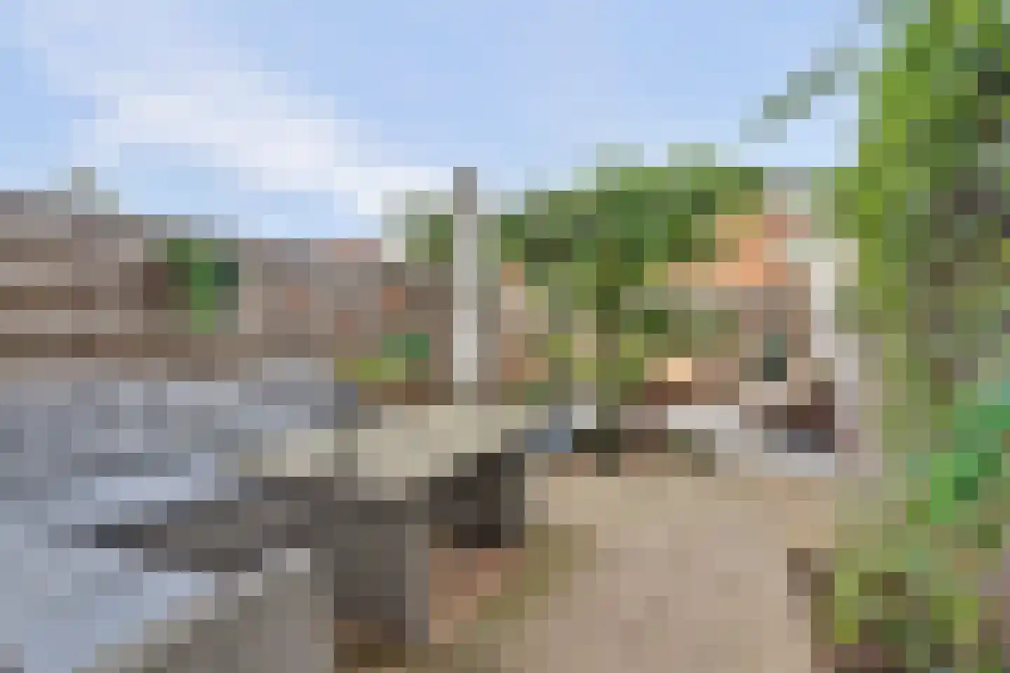 Merwedestraat 8 IJsselstein thumbnail 15