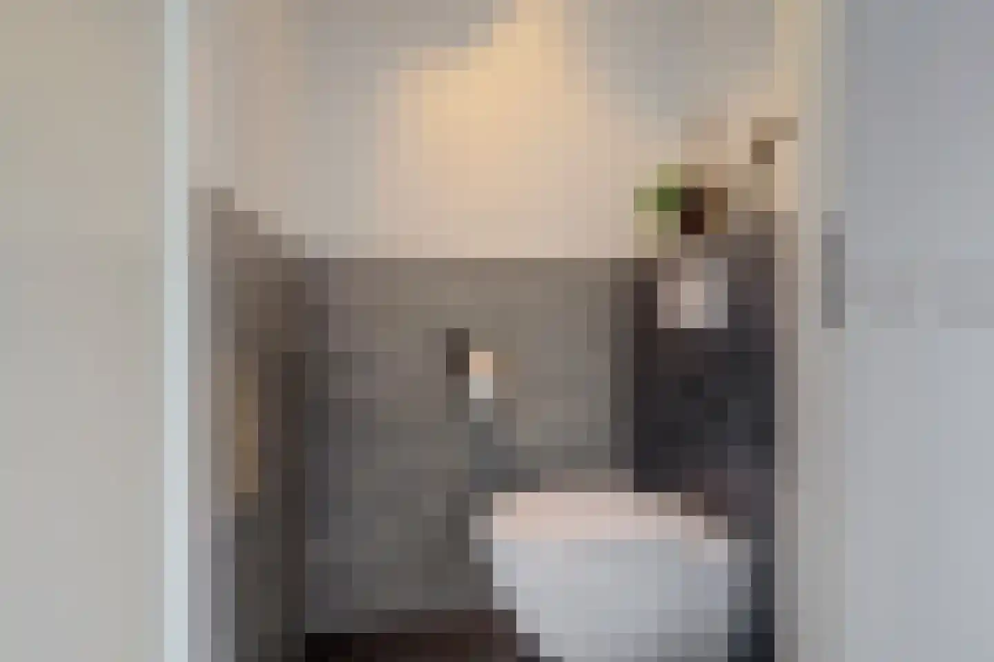 Merwedestraat 8 IJsselstein thumbnail 22