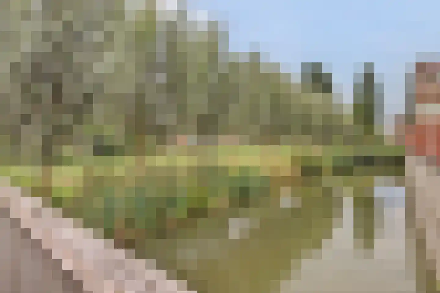 Merwedestraat 8 IJsselstein thumbnail 8