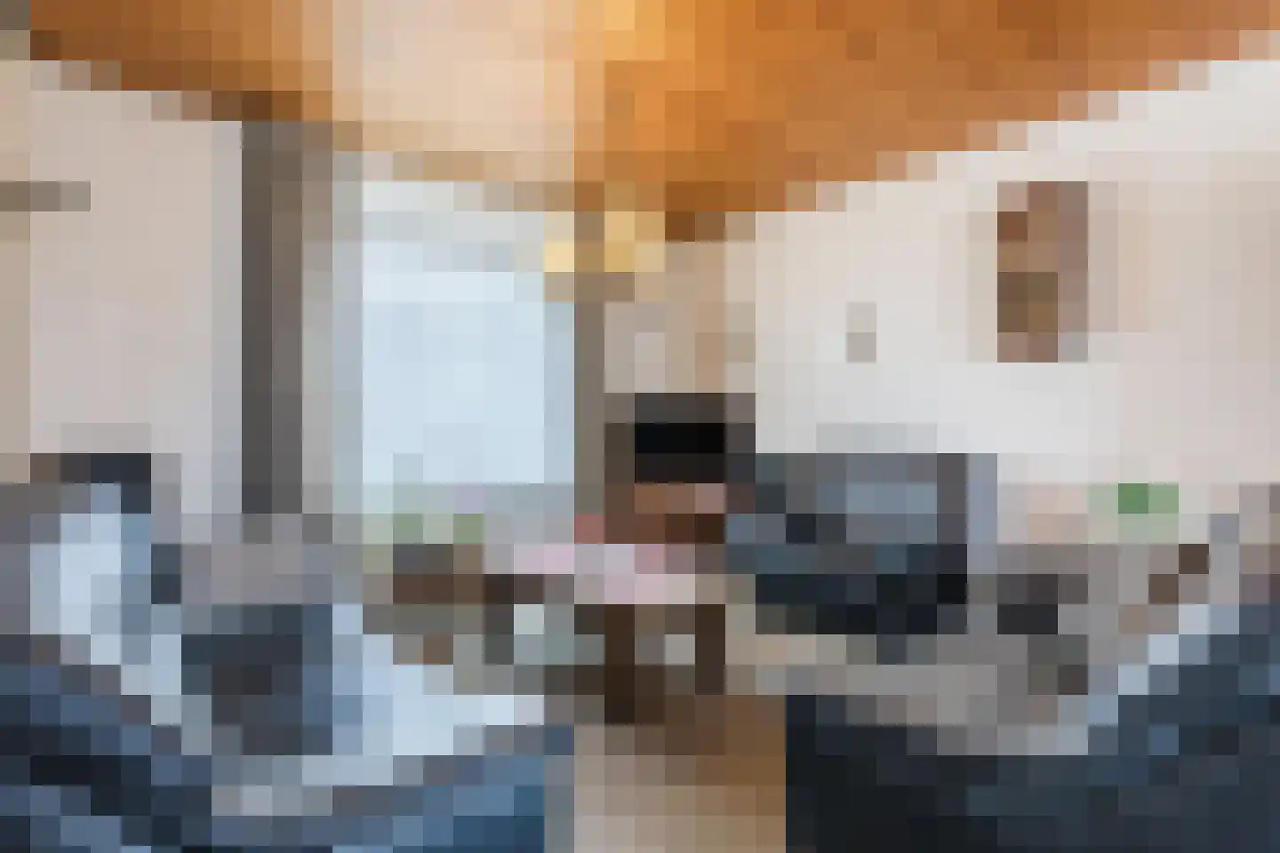 Merwedestraat 8 Stein thumbnail 11