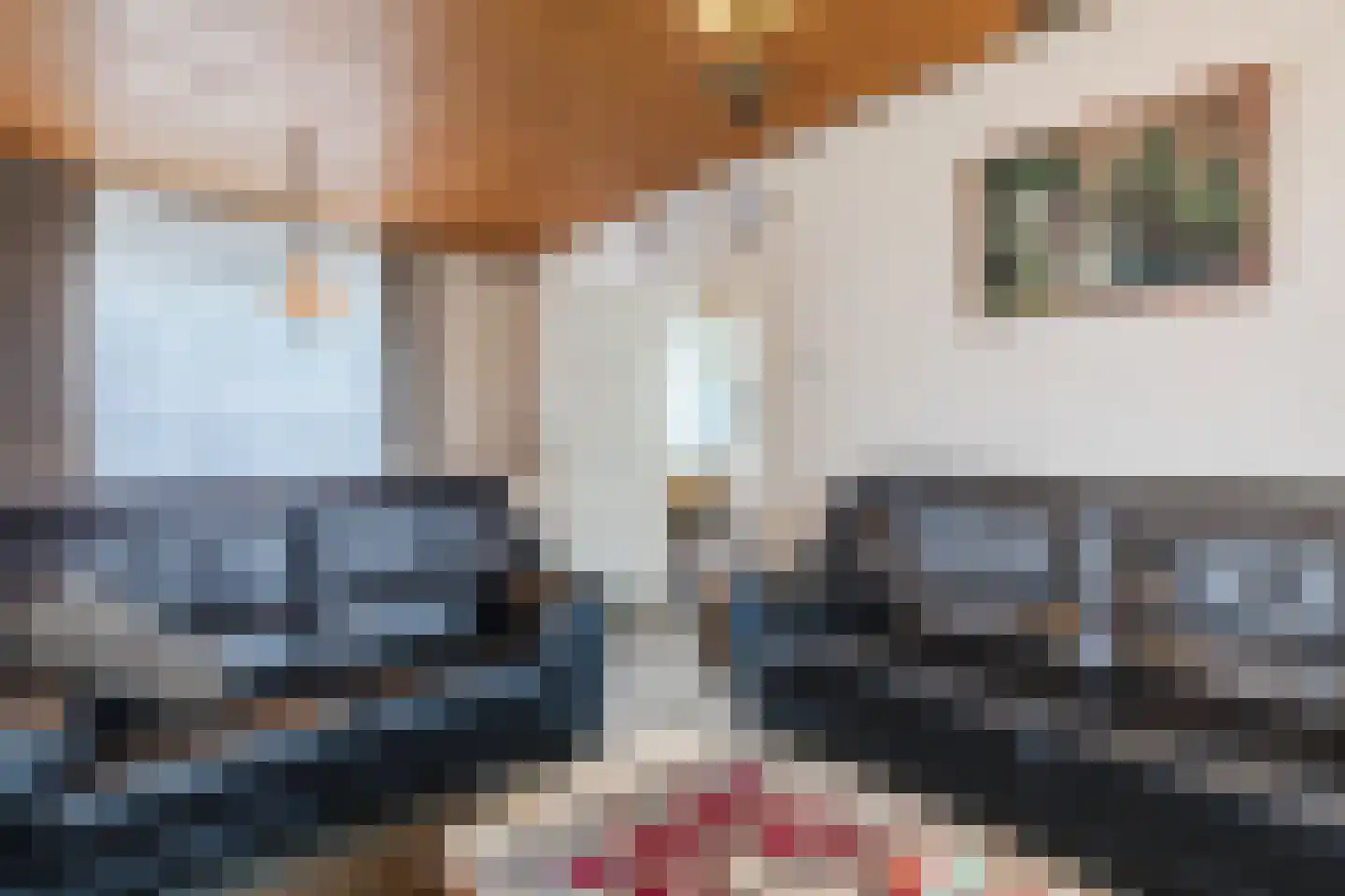 Merwedestraat 8 Stein thumbnail 12