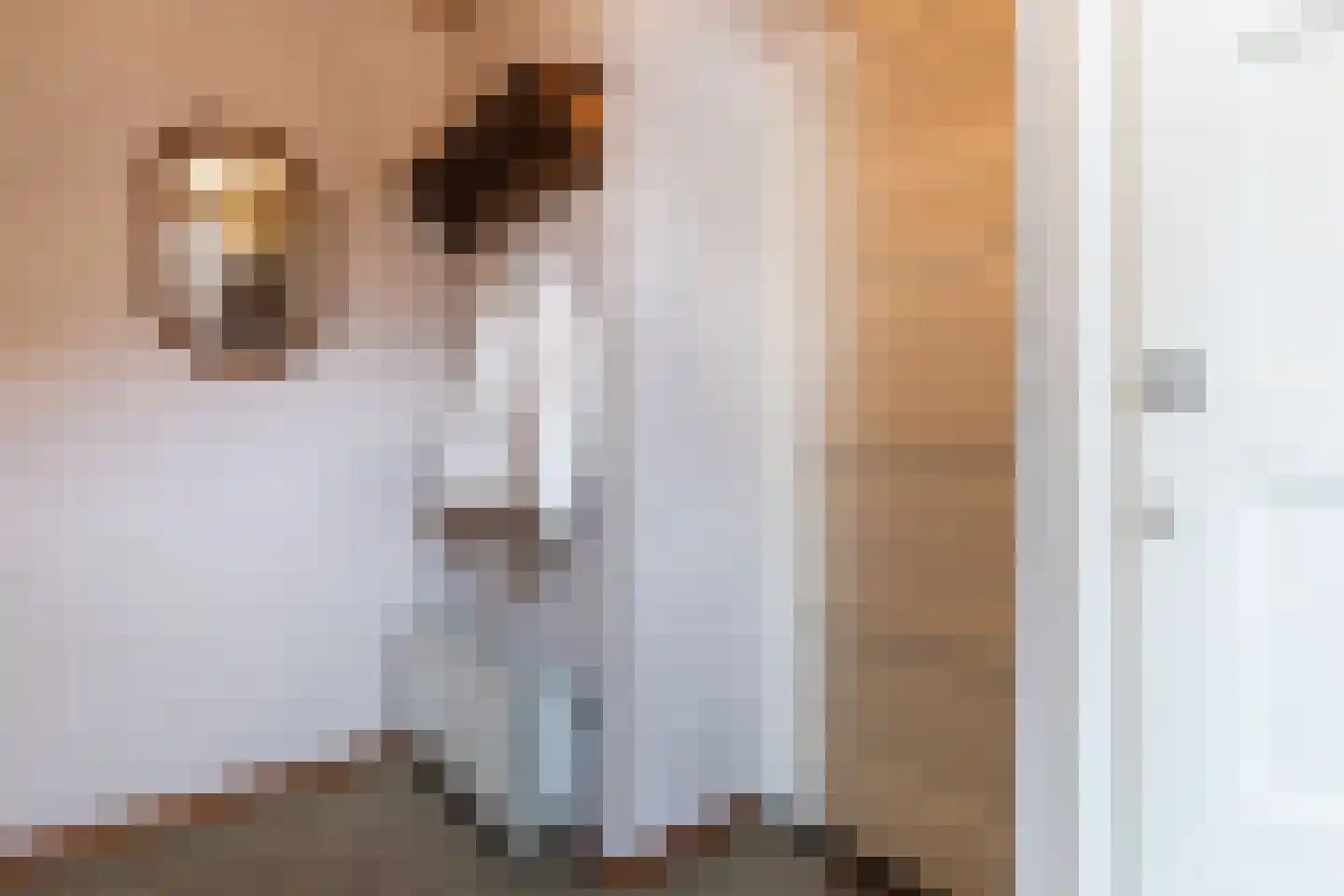 Merwedestraat 8 Stein thumbnail 6