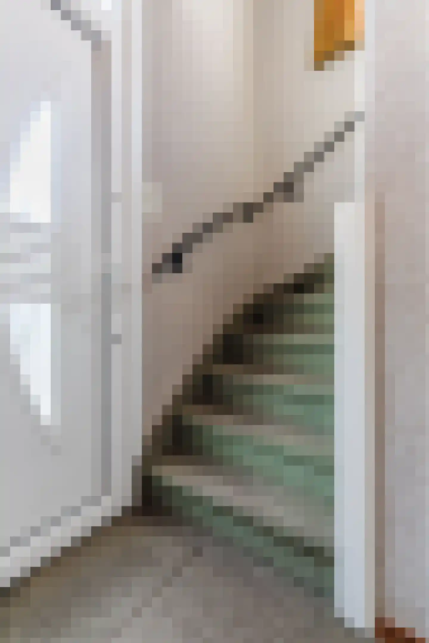 Merwedestraat 8 Stein thumbnail 8