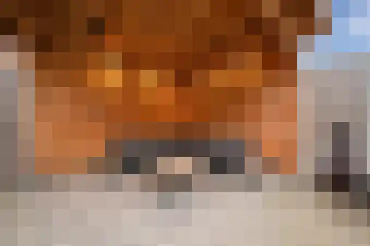 Merwedestraat 9 Den Helder thumbnail 26