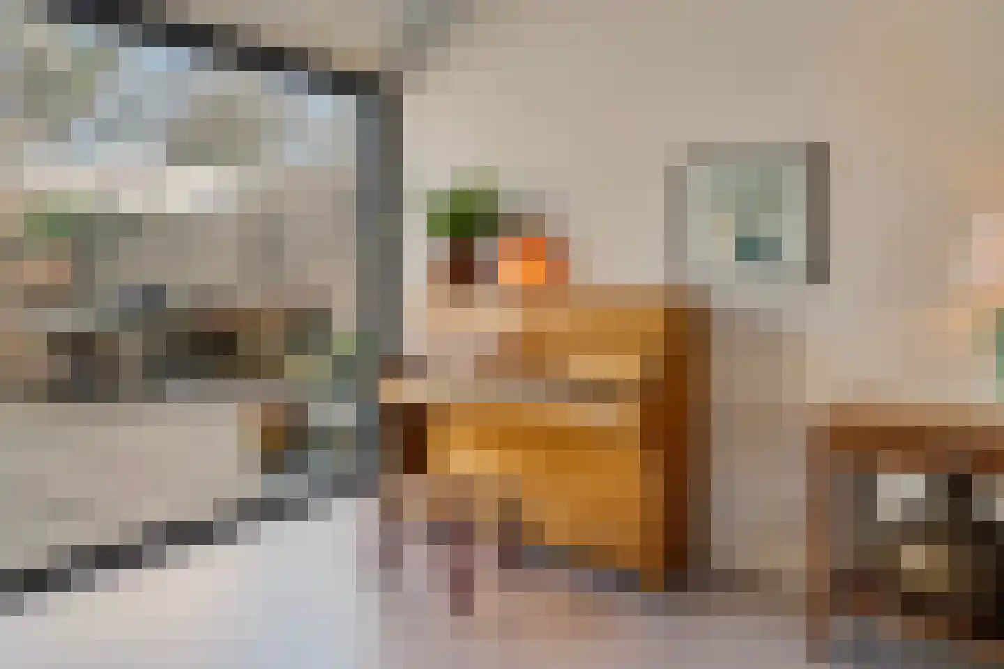 Merwedestraat 9 Maasdam thumbnail 15