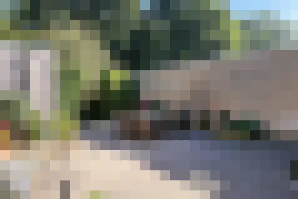 Merwedestraat 9 Maasdam thumbnail 16
