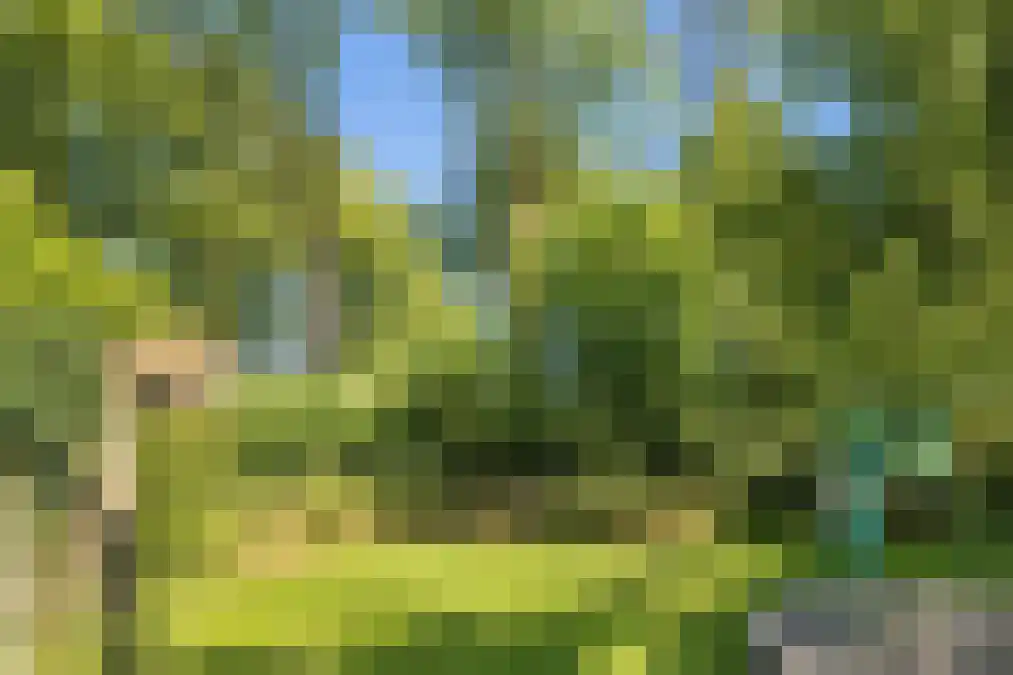Merwedestraat 9 Maasdam thumbnail 18