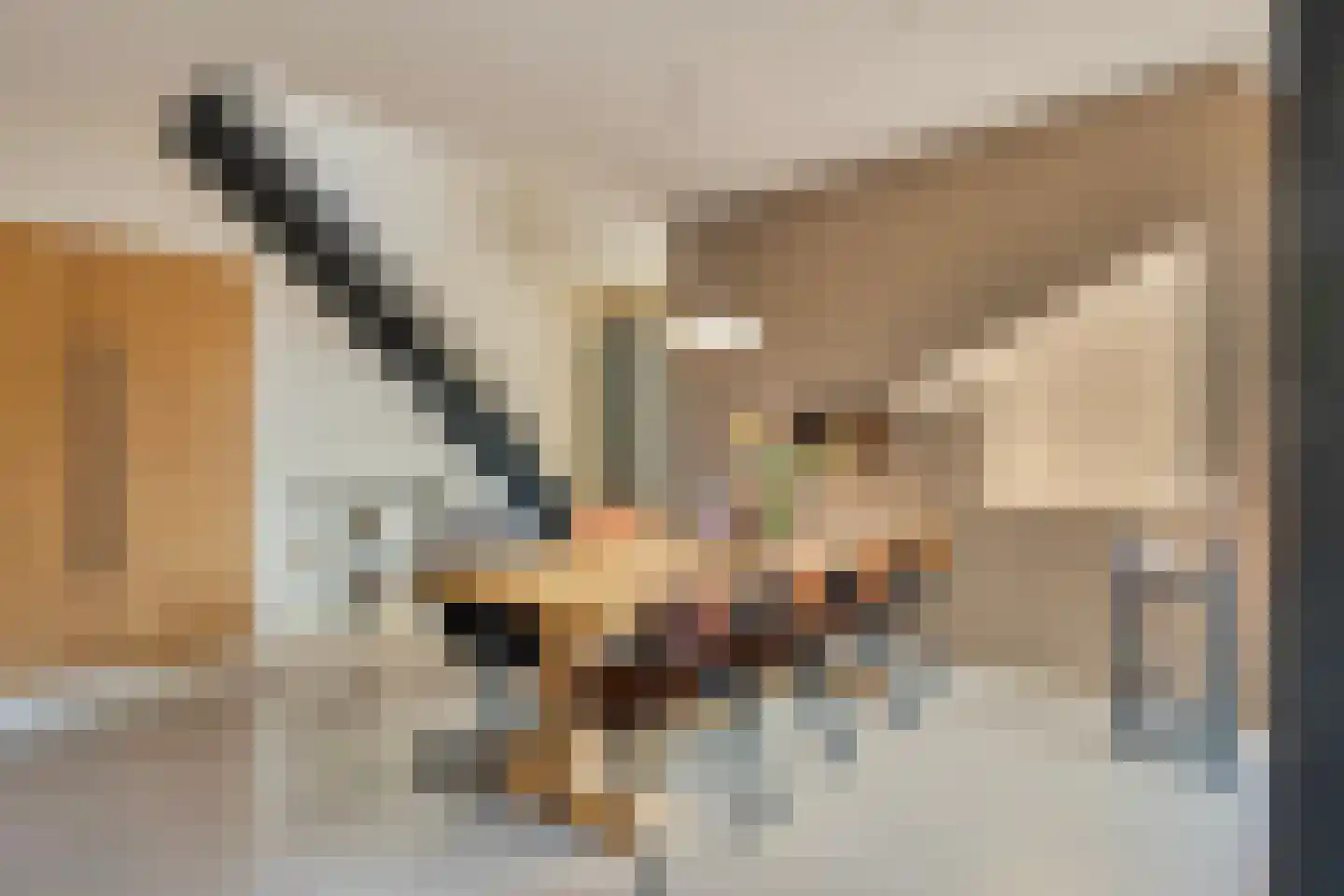 Merwedestraat 9 Maasdam thumbnail 19