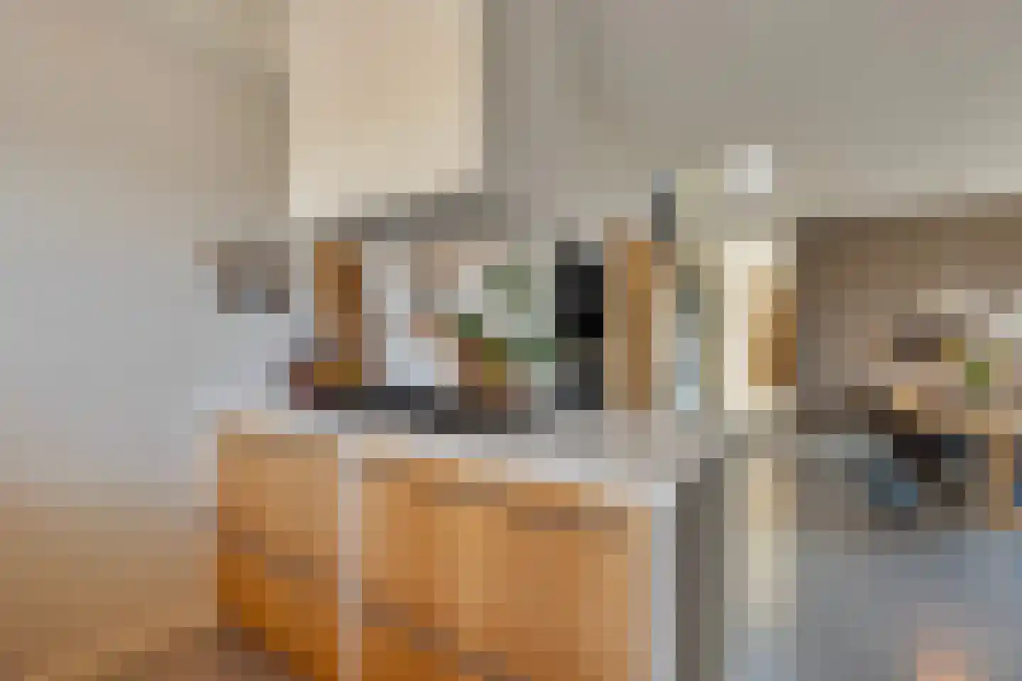 Merwedestraat 9 Maasdam thumbnail 23