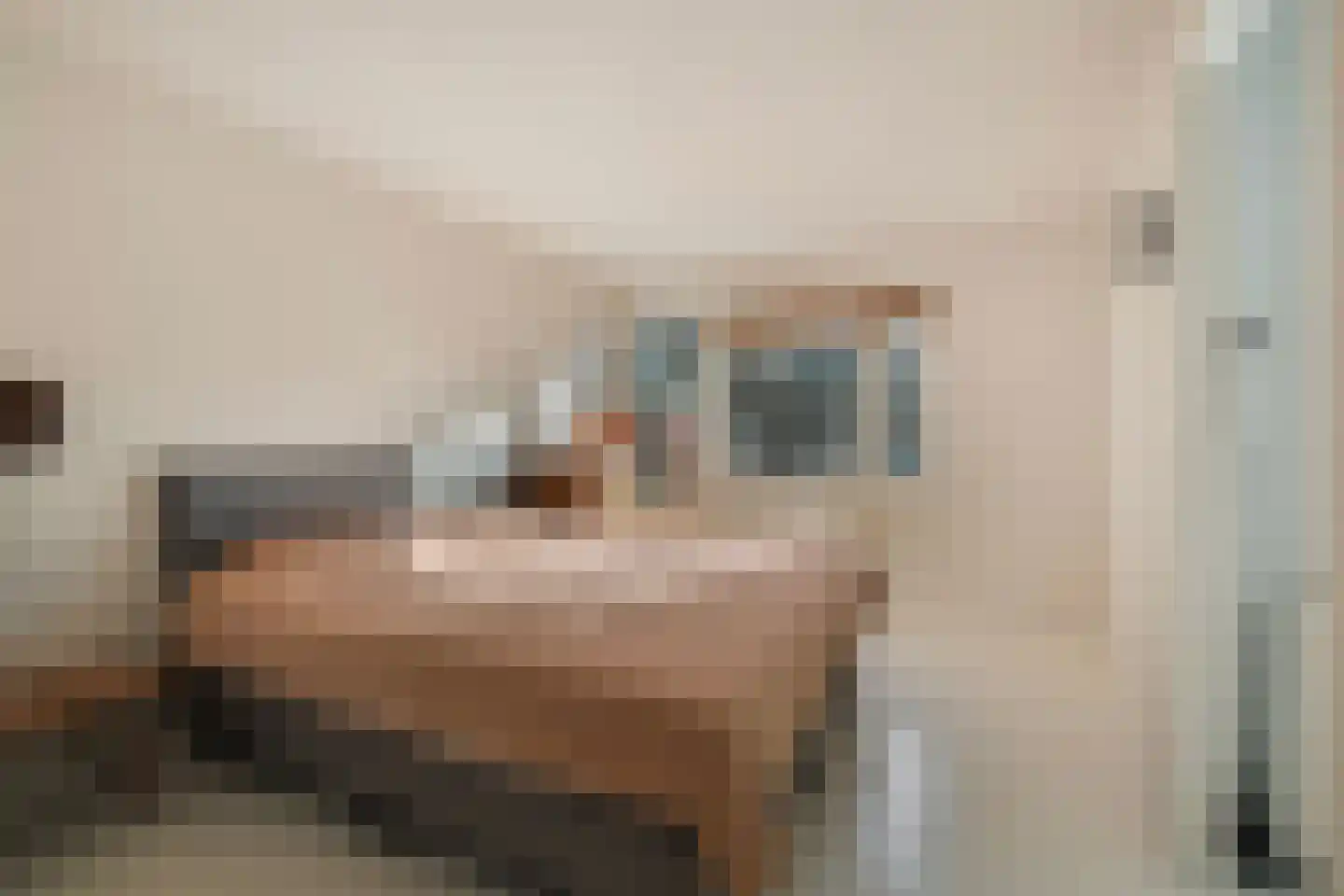 Merwedestraat 9 Maasdam thumbnail 28