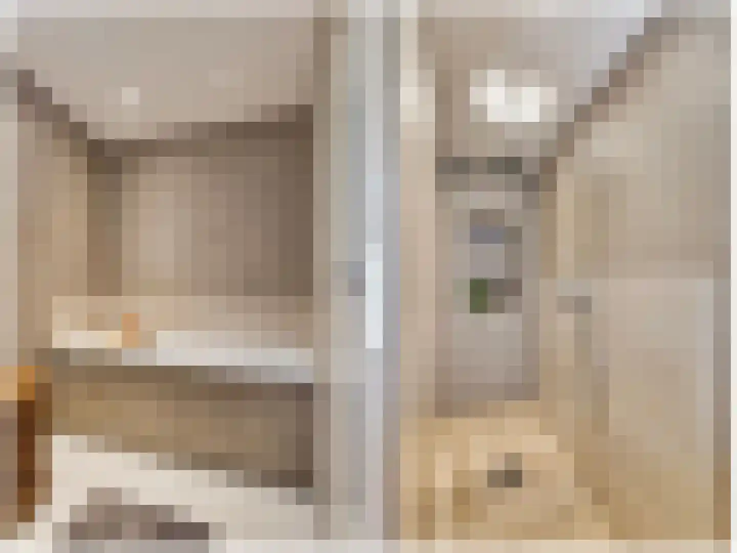 Merwedestraat 9 Maasdam thumbnail 34