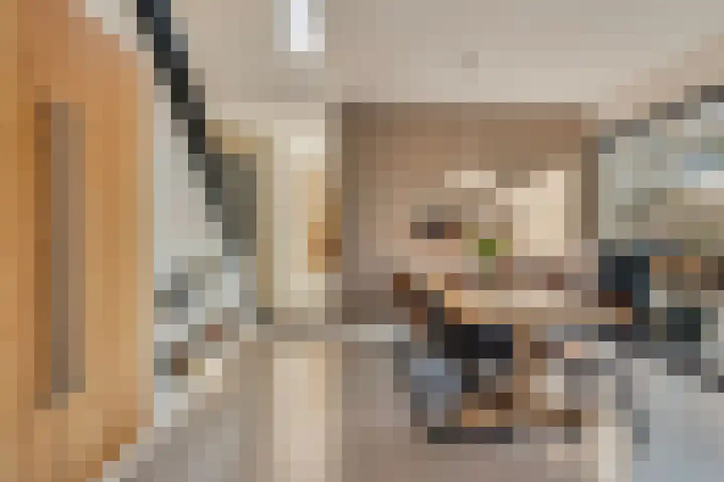 Merwedestraat 9 Maasdam thumbnail 4