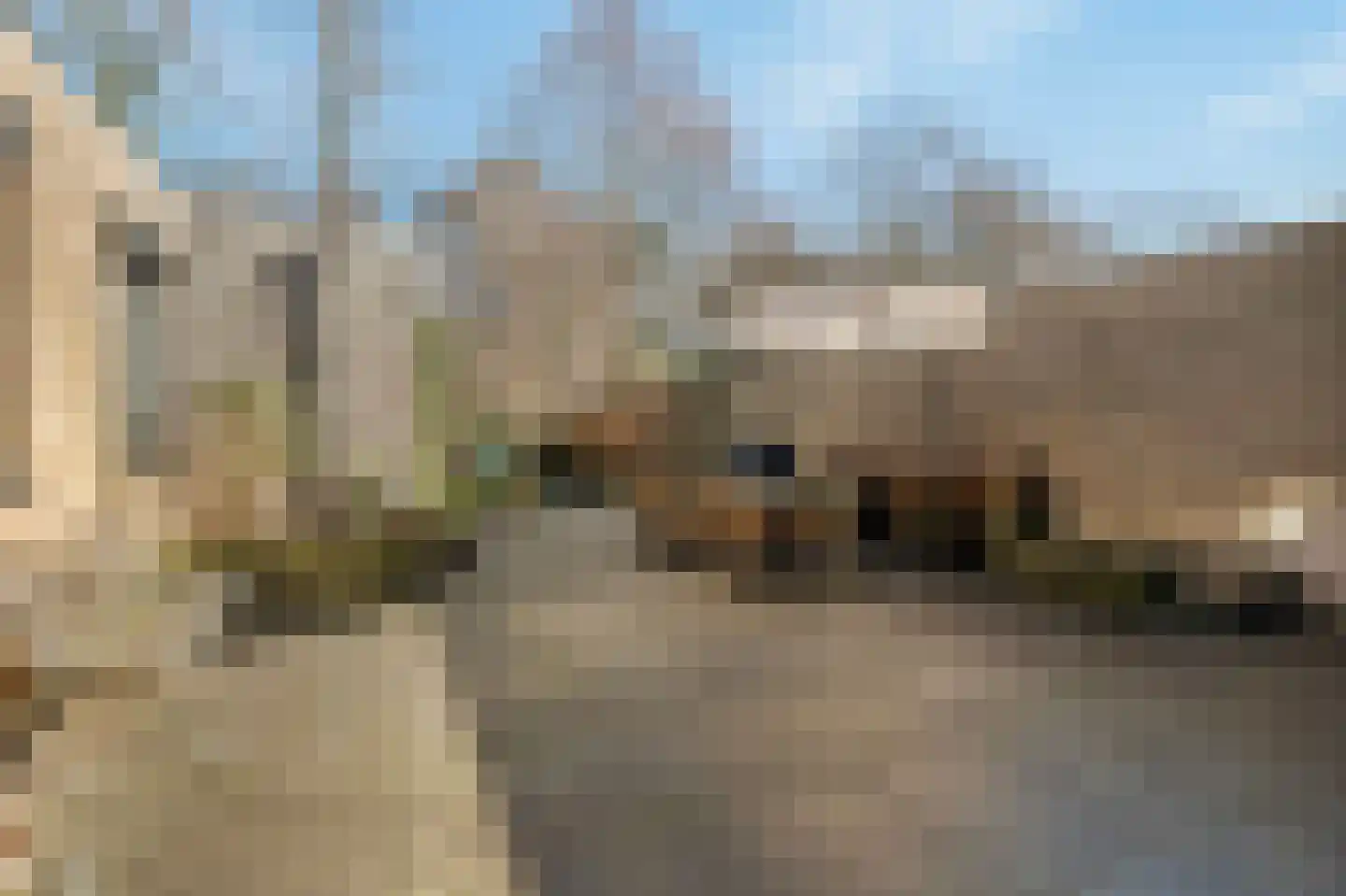 Merwedestraat 9 Maasdam thumbnail 42