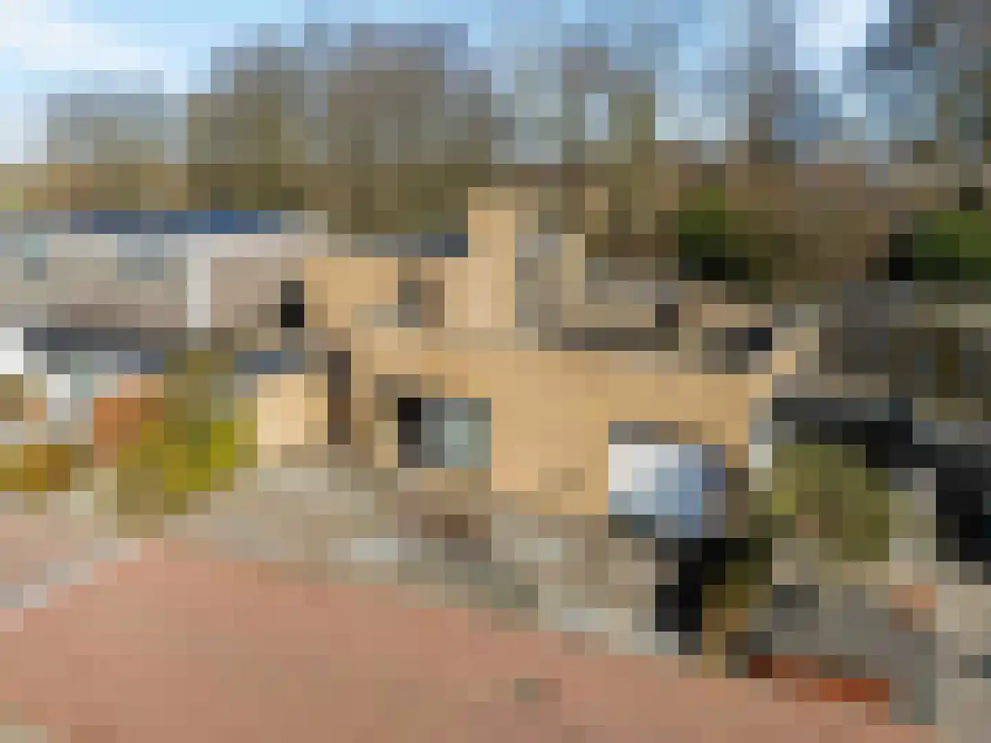 Merwedestraat 9 Maasdam thumbnail 6