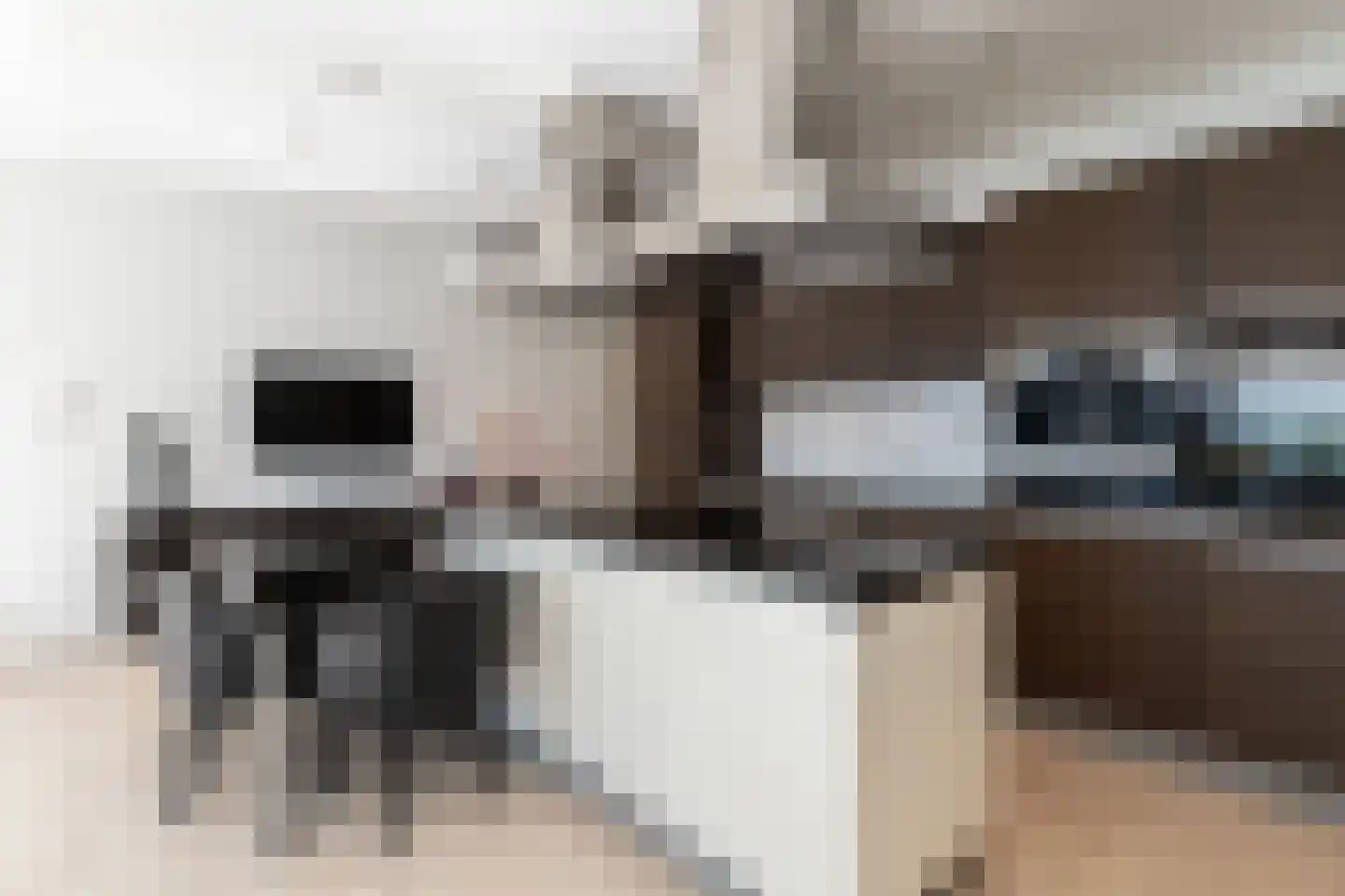 Merwehoofd 136 Papendrecht thumbnail 34