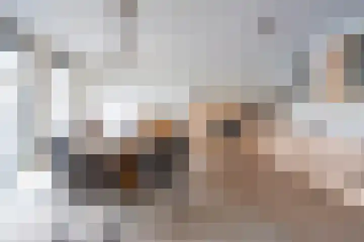 Merwehoofd 40 Papendrecht thumbnail 11