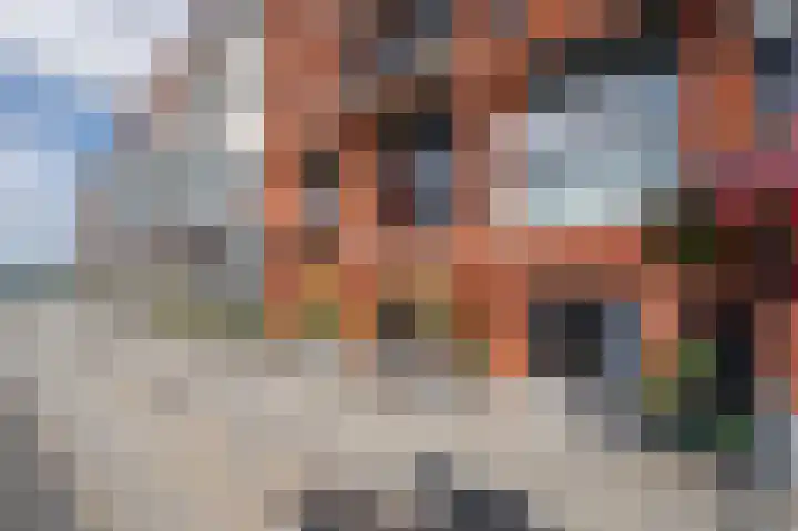 Merwehoofd 40 Papendrecht thumbnail 5
