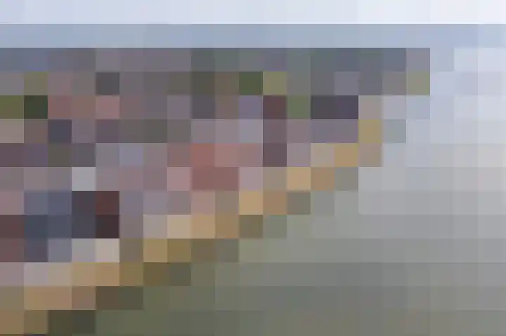 Merwehoofd 40 Papendrecht thumbnail 6