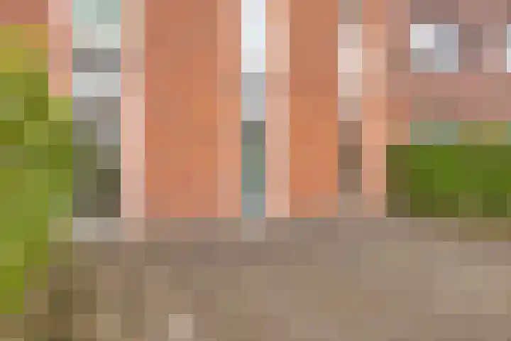 Merwehoofd 79 Papendrecht thumbnail 20