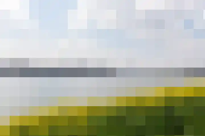Merwehoofd 79 Papendrecht thumbnail 4