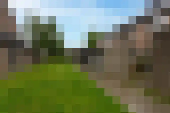 Merweplein 39 Woudrichem thumbnail 23