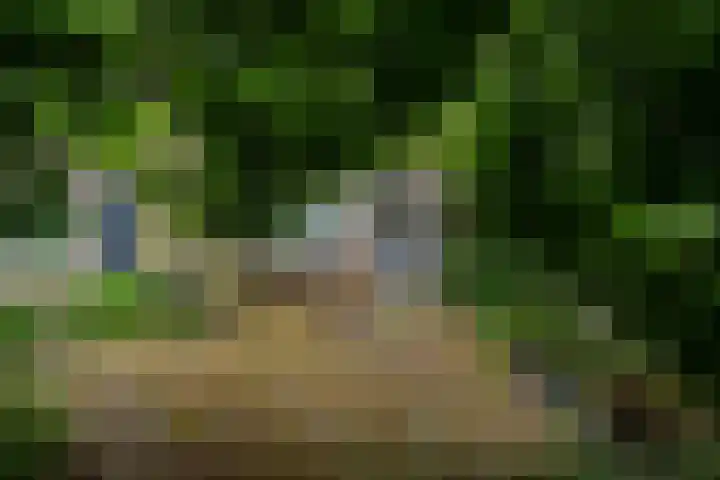 Merweplein 39 Woudrichem thumbnail 4
