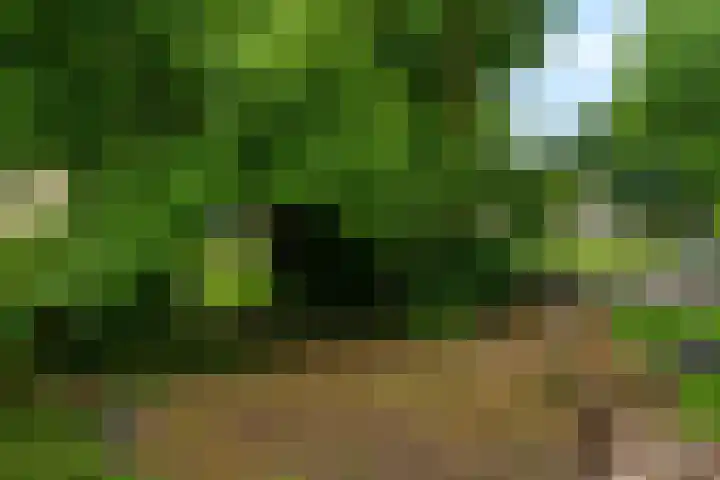 Merweplein 39 Woudrichem thumbnail 5