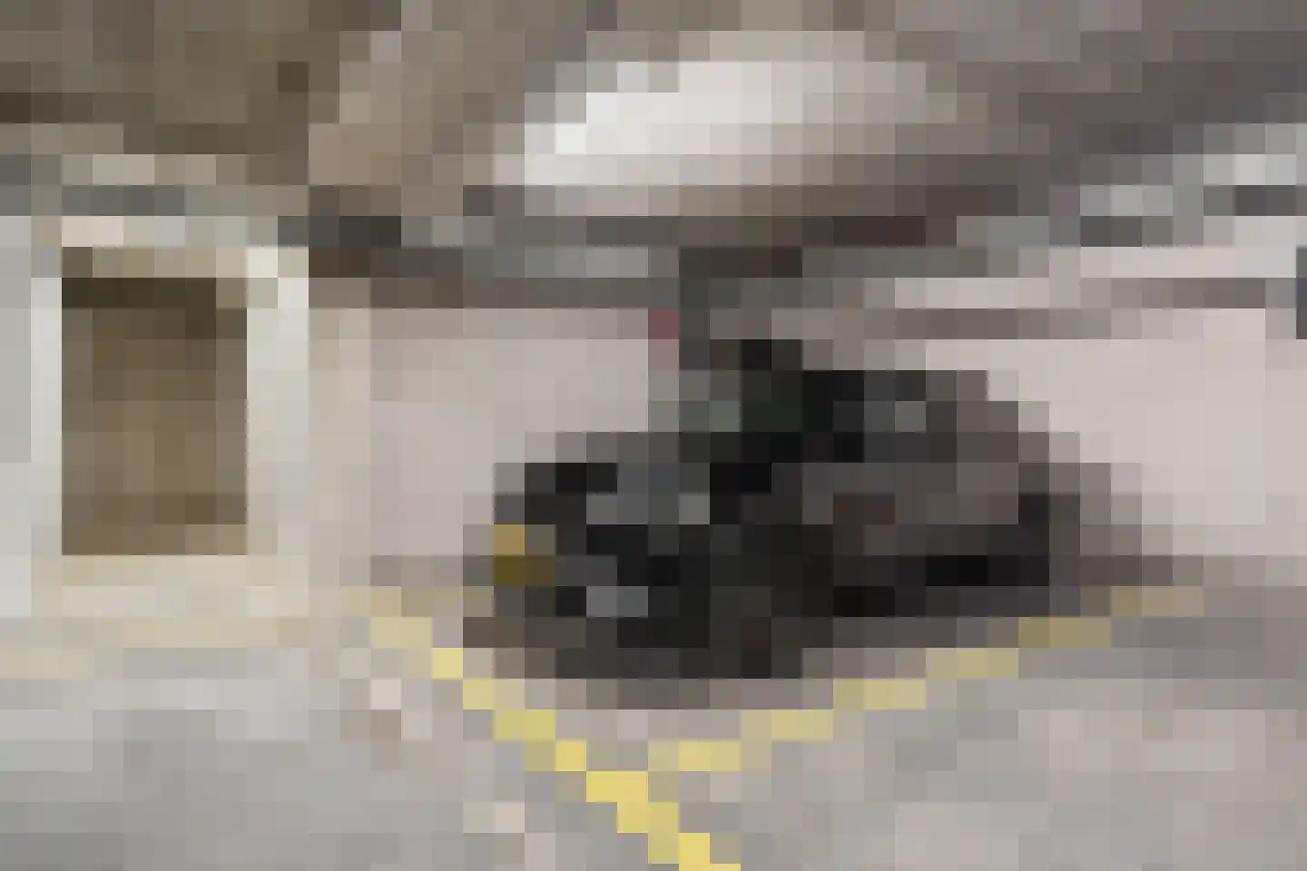 Merweplein 5 24 Nieuwegein thumbnail 32