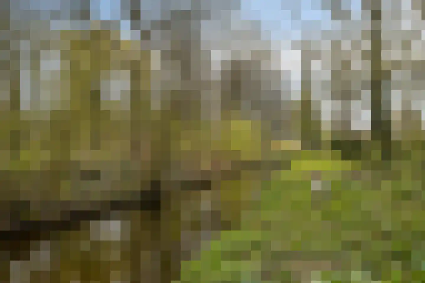 Merweplein 7 11 Nieuwegein thumbnail 43