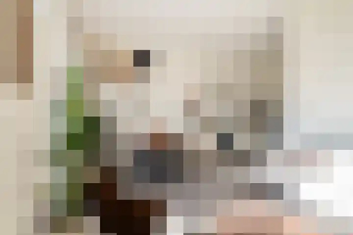 Merweplein 7 3 Nieuwegein thumbnail 7