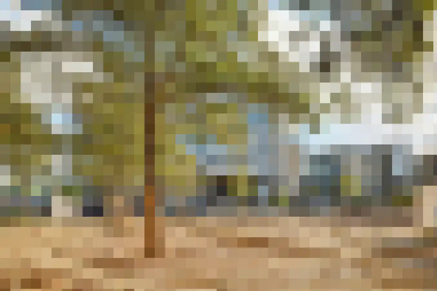 Merweplein 9 22 Nieuwegein thumbnail 35