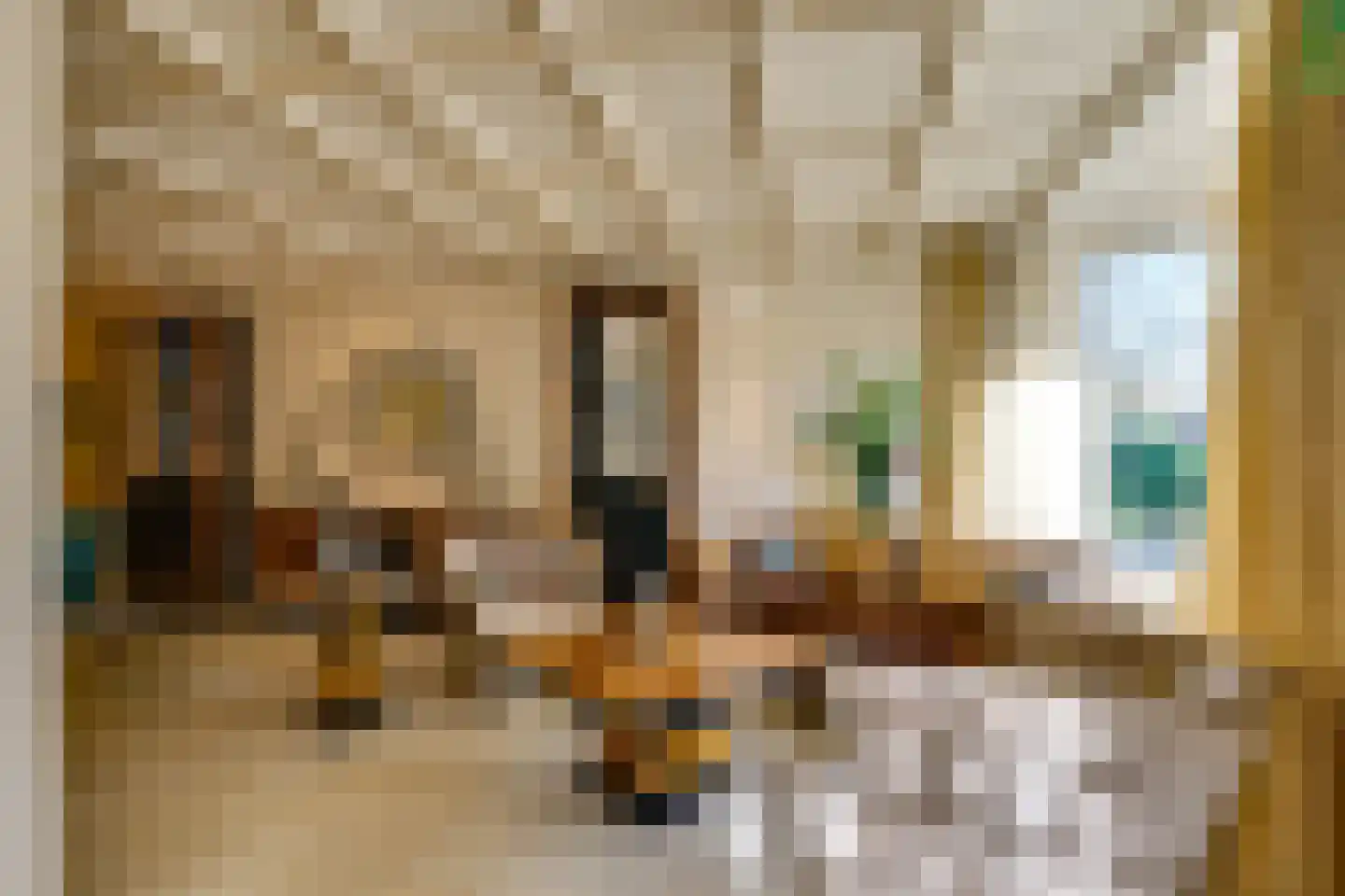 Merwestraat 17 Sliedrecht thumbnail 28