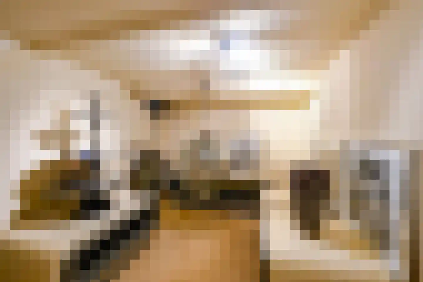 Merwestraat 17 Sliedrecht thumbnail 38