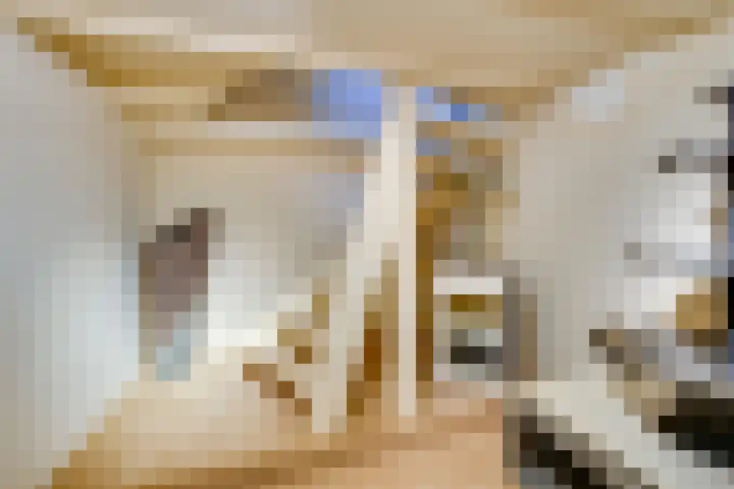 Merwestraat 17 Sliedrecht thumbnail 39