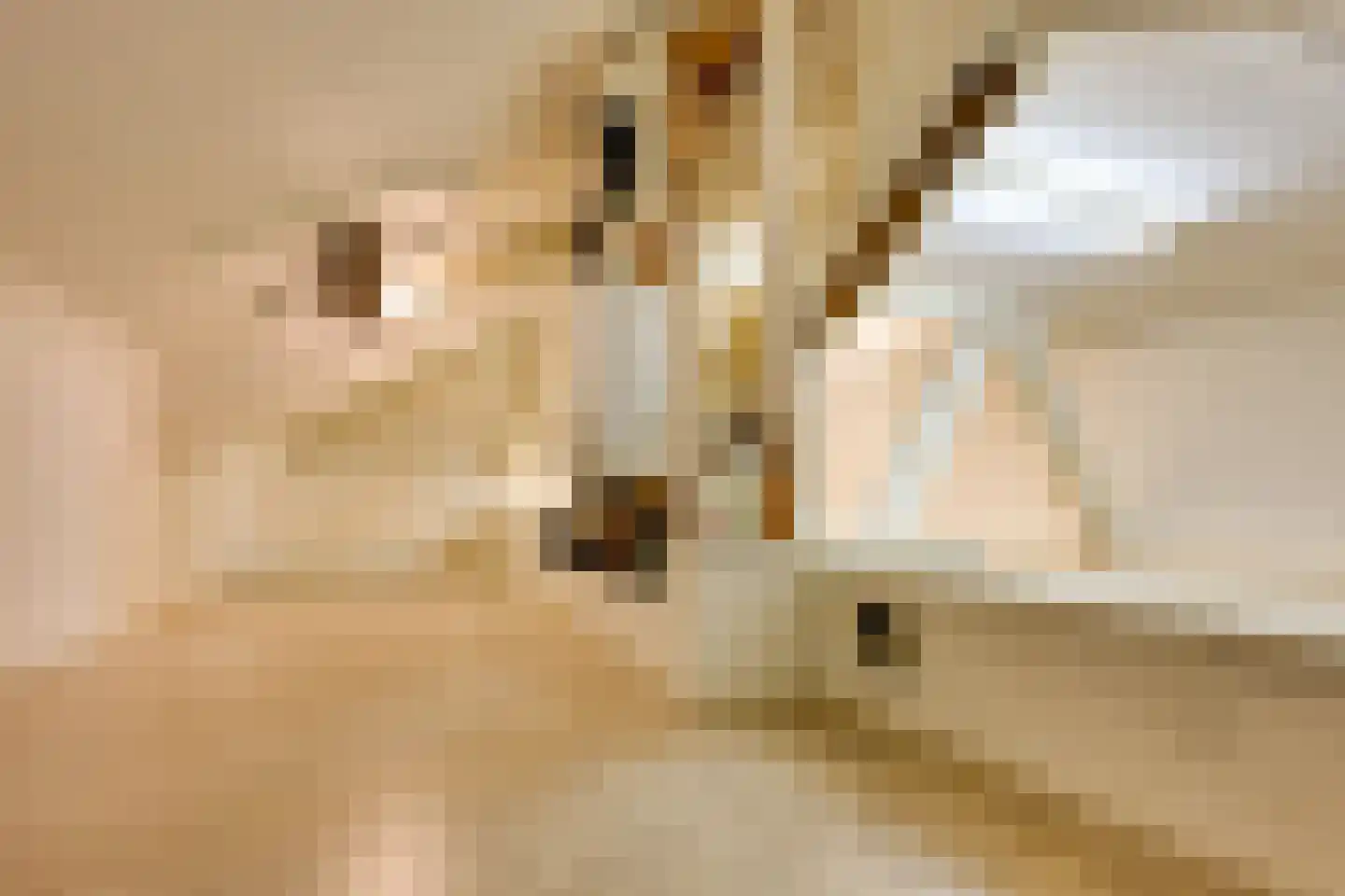 Merwestraat 17 Sliedrecht thumbnail 52