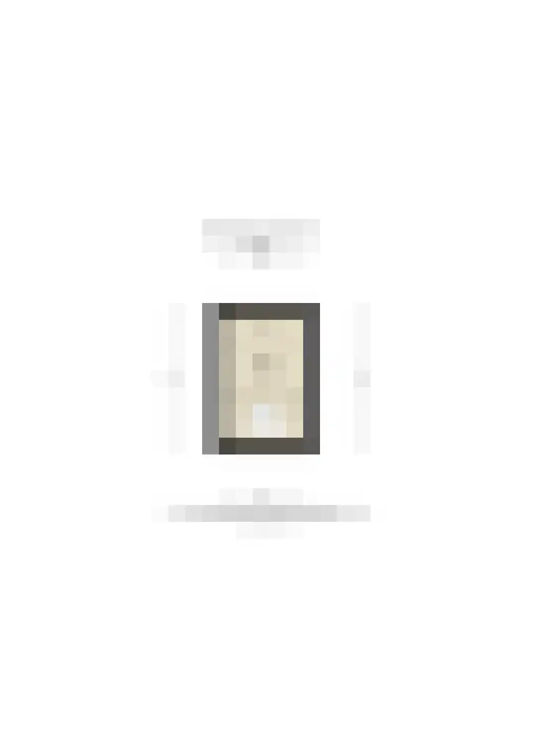 Merwestraat 17 Sliedrecht thumbnail 63