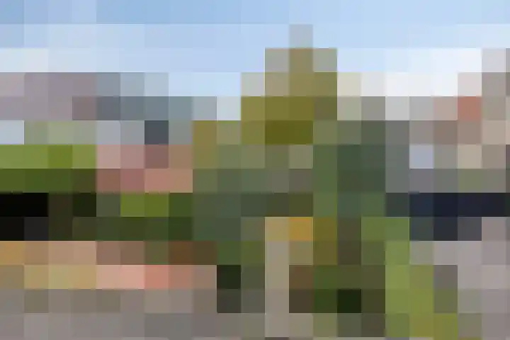Merwestraat 29 Sliedrecht thumbnail 42