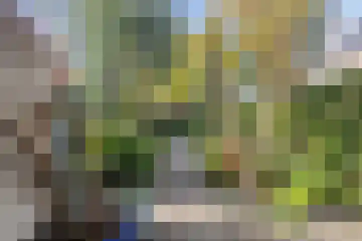 Merwestraat 29 Sliedrecht thumbnail 7