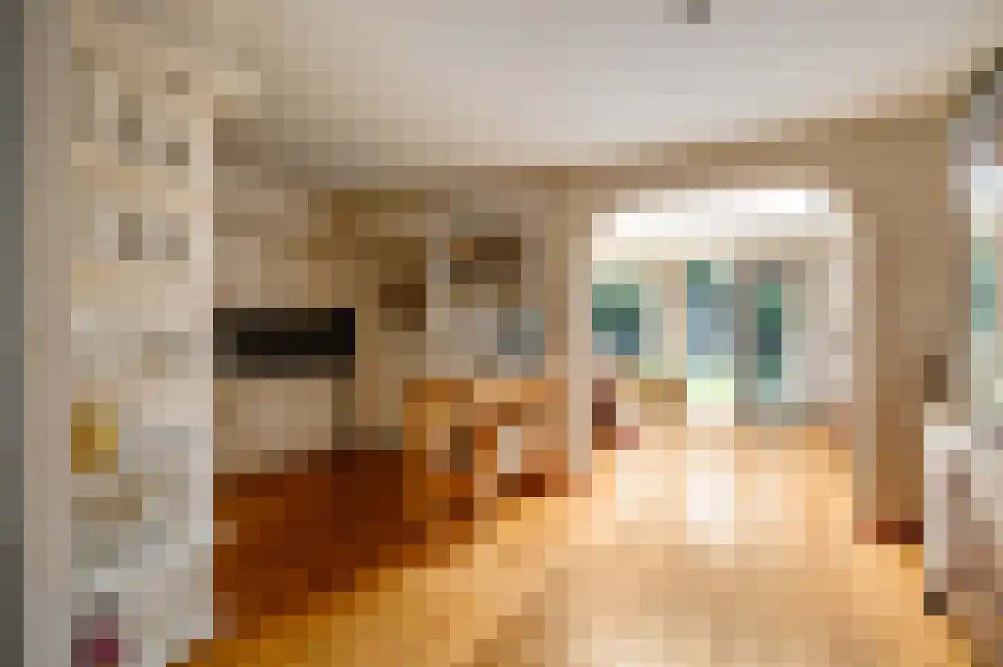 Merwijckstraat 46 Sevenum thumbnail 19