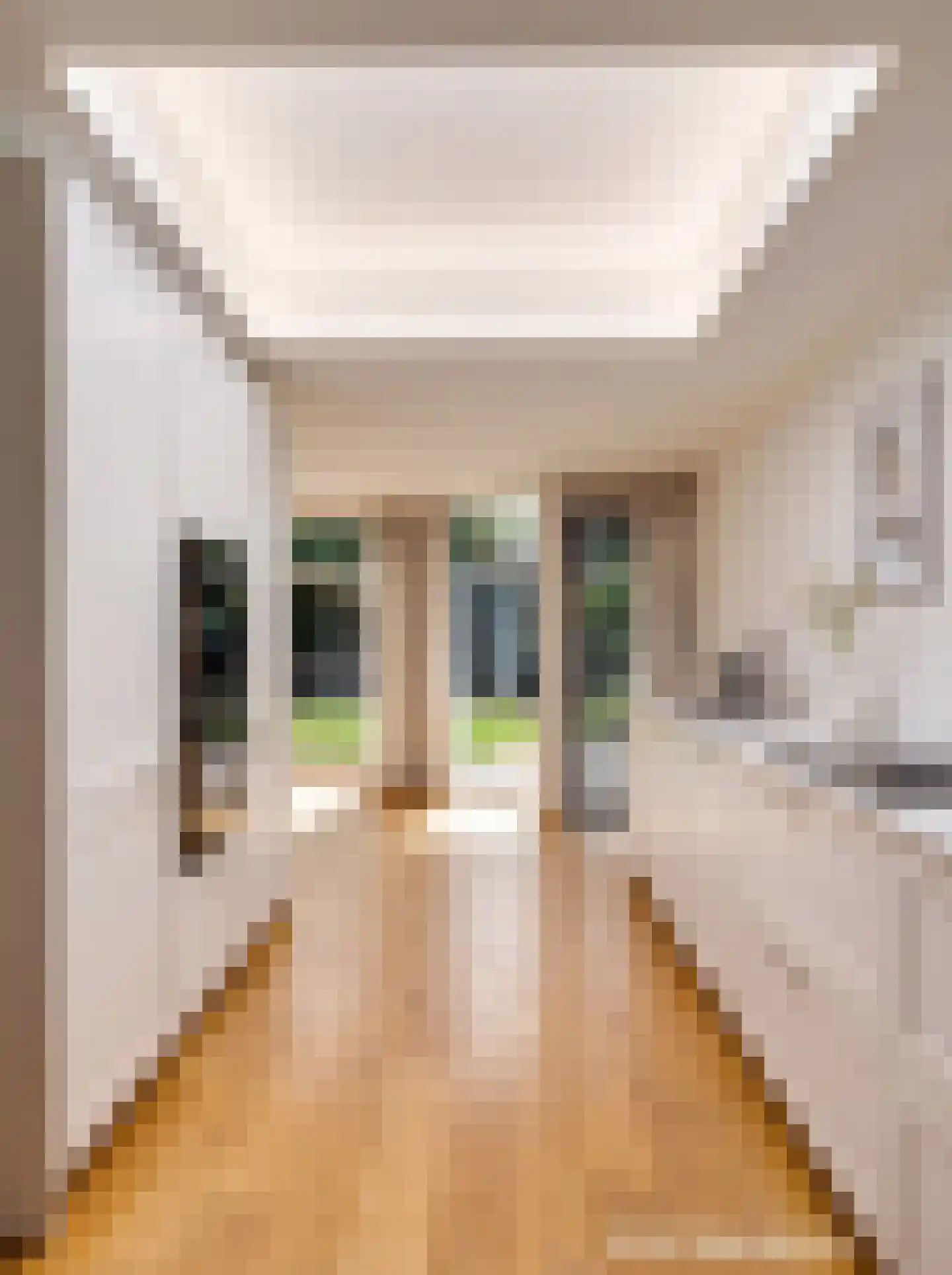 Merwijckstraat 46 Sevenum thumbnail 27