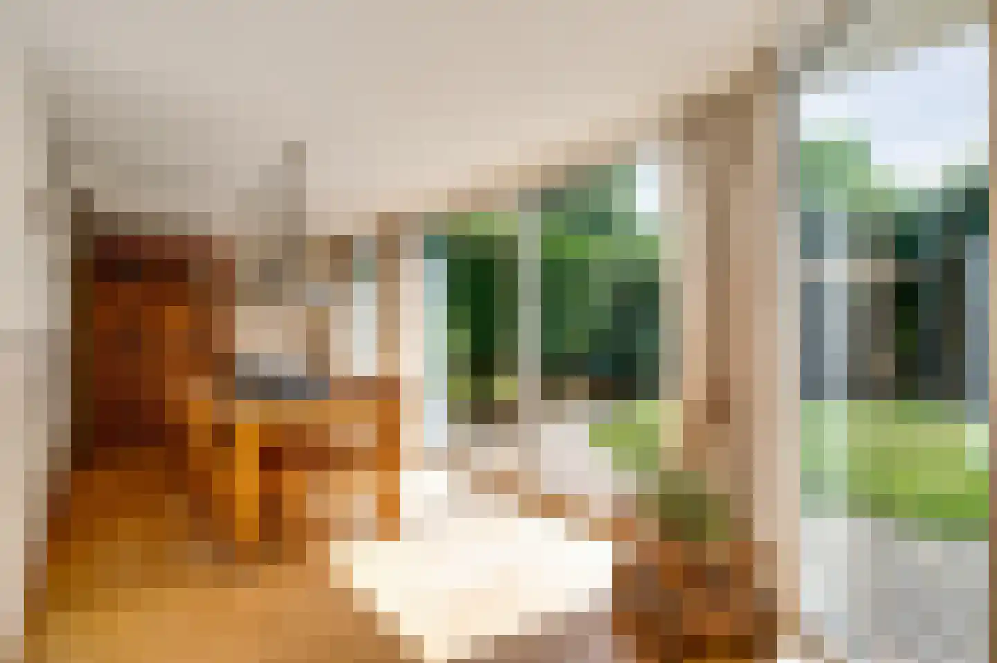 Merwijckstraat 46 Sevenum thumbnail 28